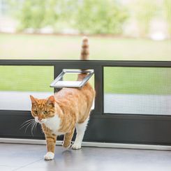 Insektenschutz, Rollo, Dachfenster