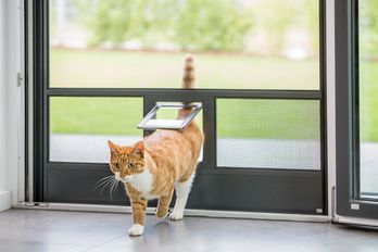 Insektenschutz, Rollo, Dachfenster