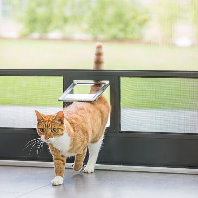 Insektenschutz, Rollo, Dachfenster